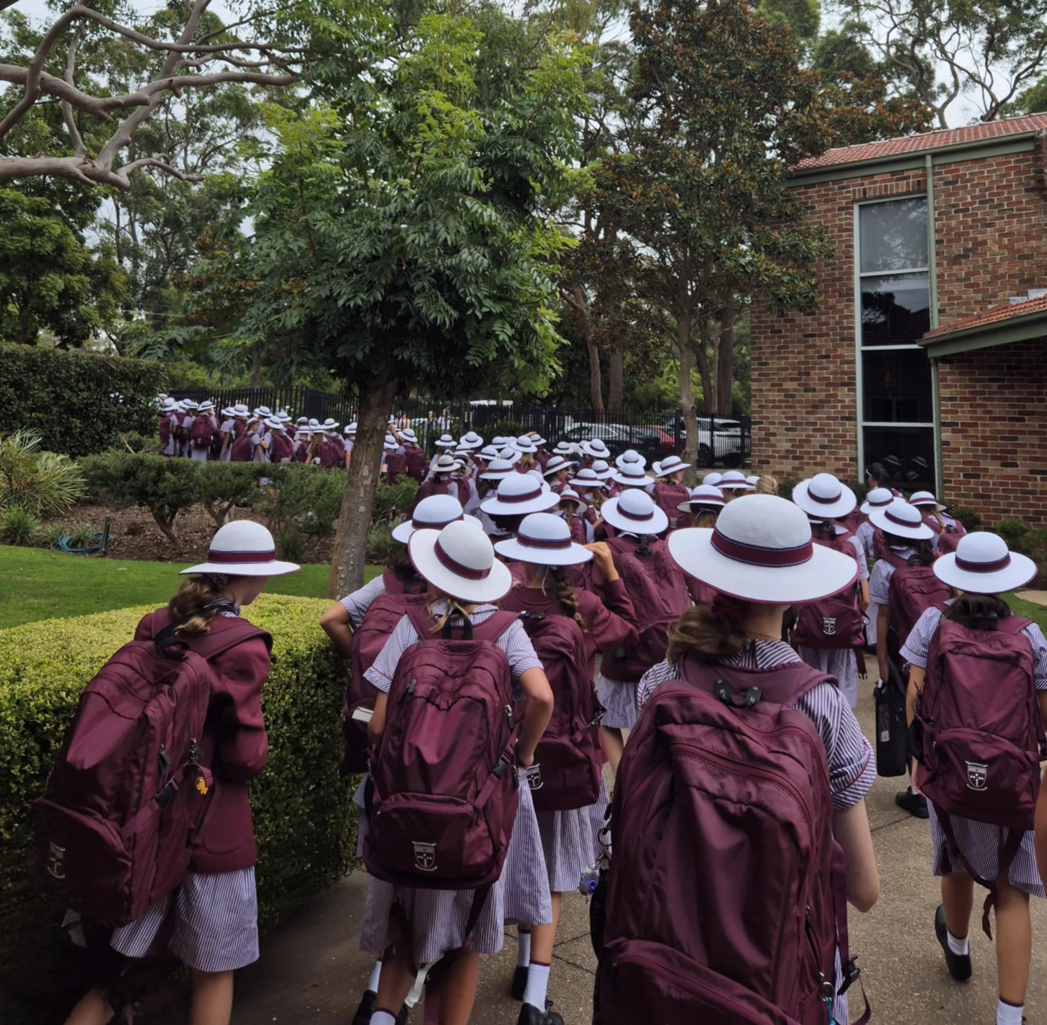 Welcome to Term 4